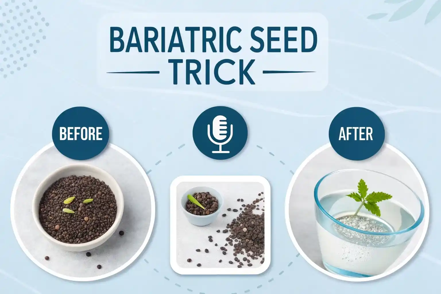 Educational infographic explaining what the bariatric seed trick is and how seeds expand in water